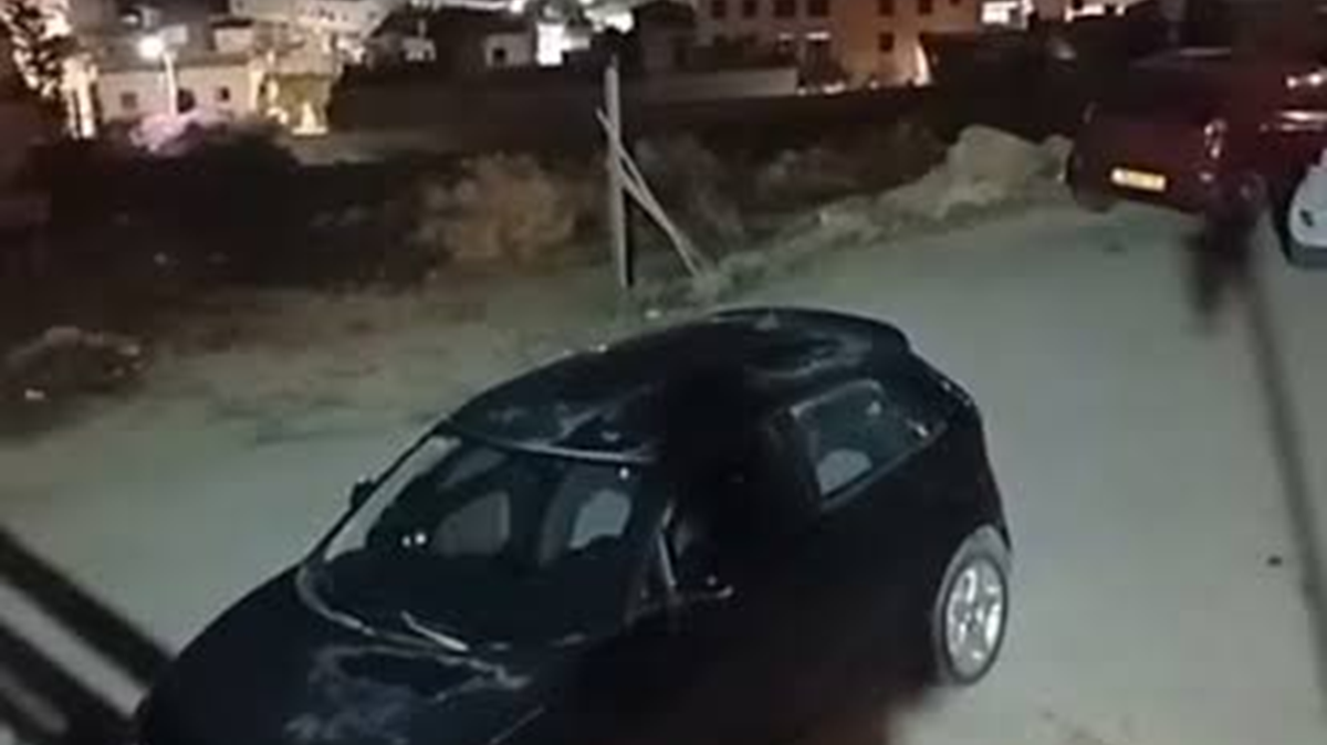 شجار مؤسف في بلدة قطنة ووقوع قتلى وإصابات 